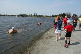 Google_Cardboar_boat_build_teambuilding_012